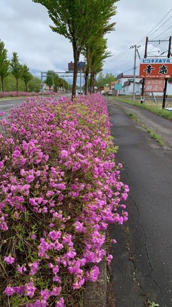 Abashiri - Hotel / Vacation Stay 16174 ภายนอก รูปภาพ